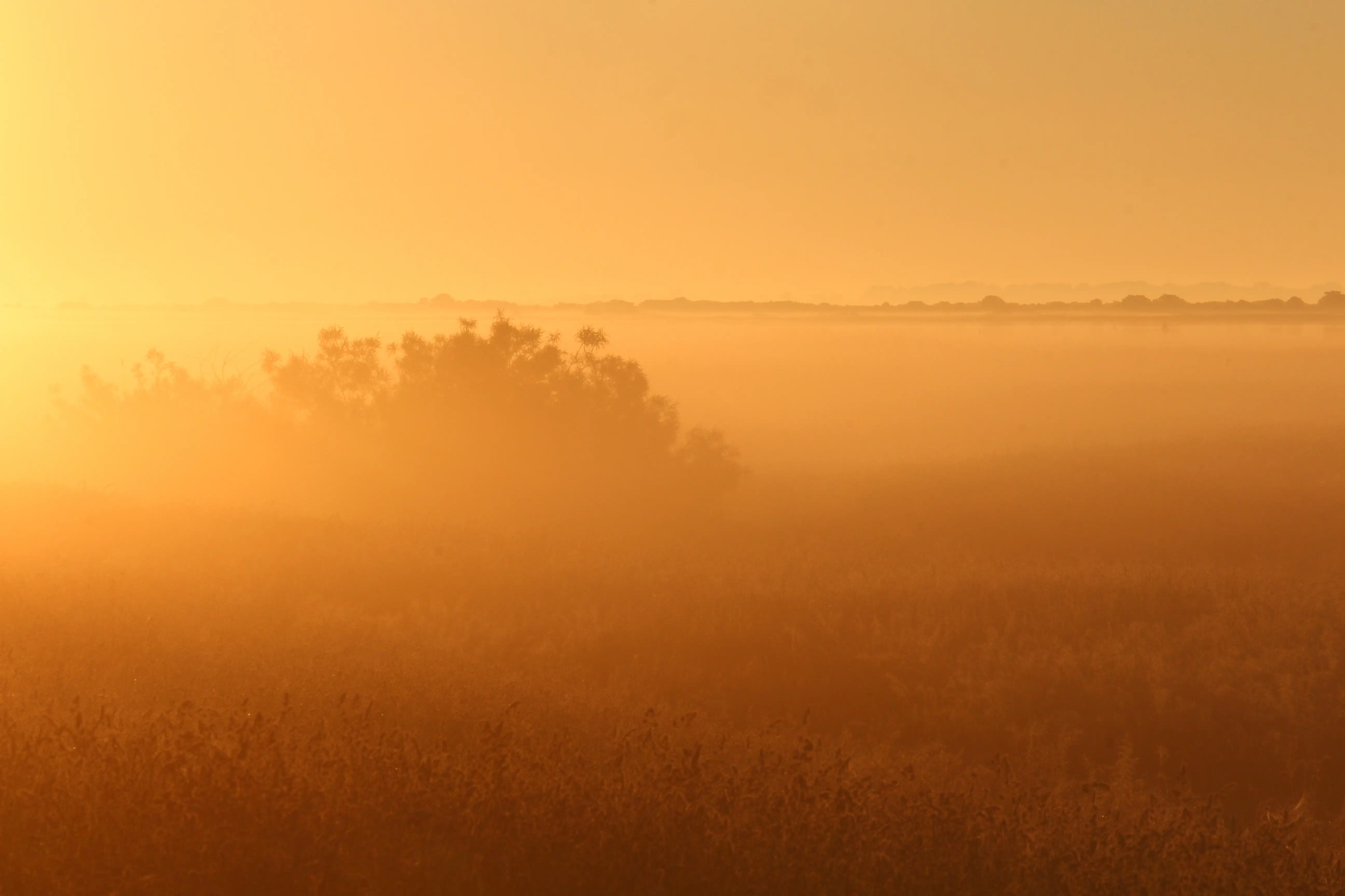 Lever de soleil sur une prairie ouverte